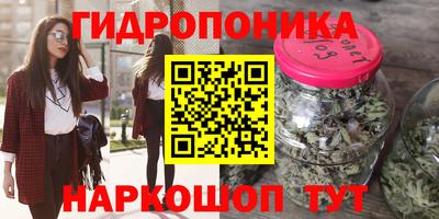 a pvp Можга